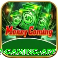 2007win VIP Gaming App
