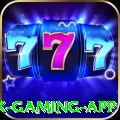 funguspg Max Gaming App