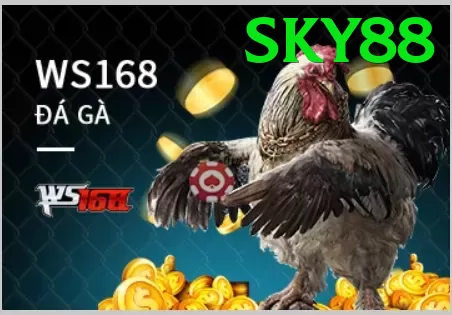 Cách Đọc Kèo Đá Gà - Game NFT